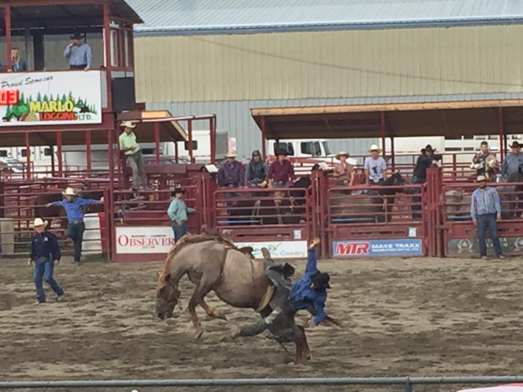 Quesnel Rodeo Club and BC Rodeo Association reach an agreement - My ...